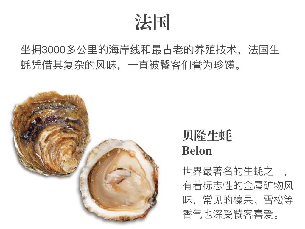 贝隆生蚝,贝隆生蚝和吉拉多生蚝哪种好
