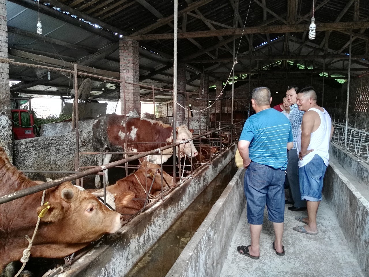 深化供销社综合改革任务分解,关于深化供销社改革促进乡村振兴