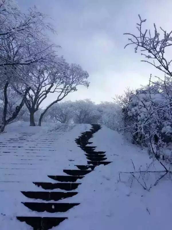 安州带娃避暑2-3天推荐,避暑亲子度假