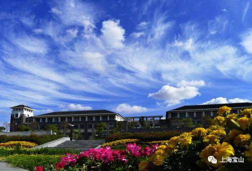 穿越百年！这里是上海最早的“大学城”