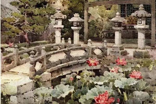 「日新」俳(pái)句之美:那么短的句子,那么长的情感