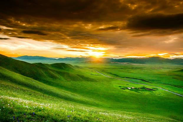 对不起，我去草原了，别再找我了……