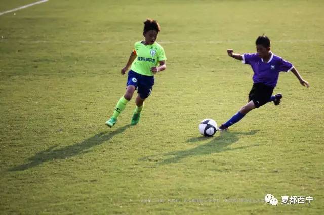 中国少年足球贝贝杯,贝贝杯足球俱乐部比赛