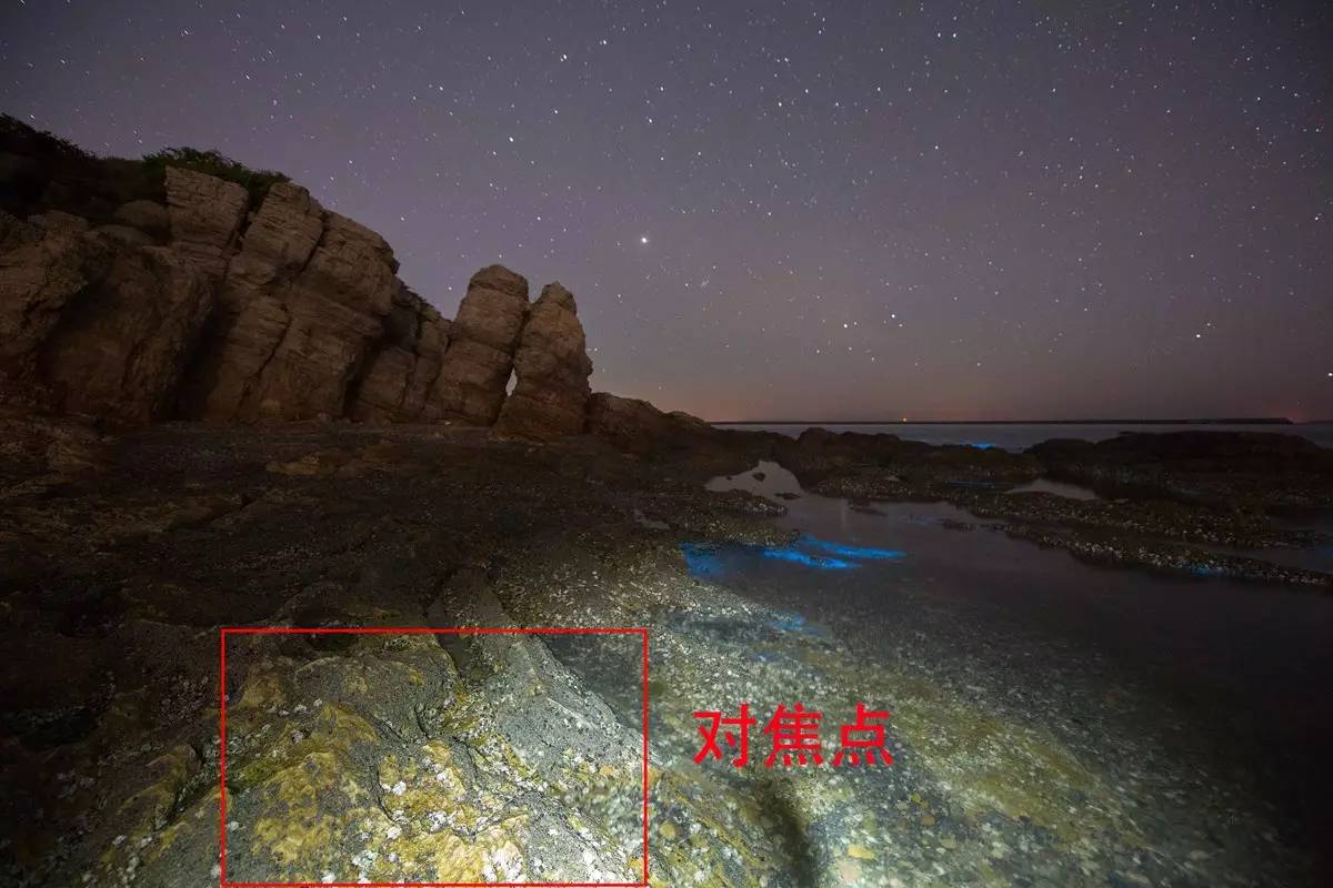 中国荧光海最佳观赏时间和地点,厦门蓝色荧光海是真实的吗