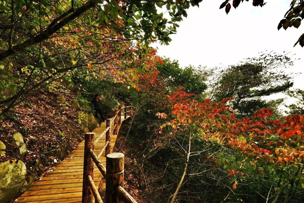 「烟台故事·十四」艾山传说