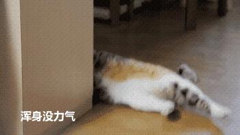 没有人在意你有多累,有人努力是为了让你睡个好觉