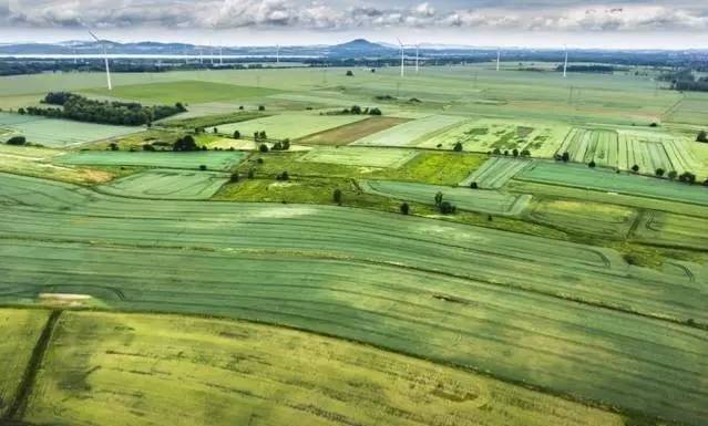 一飞智控凭何俘获央视《机智过人》的芳心?