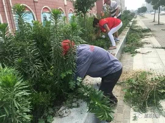 精彩召陵,召陵新闻网