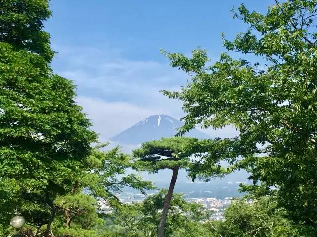 子桐品|处女星奇幻漂流记(下):日本街头寻宝记