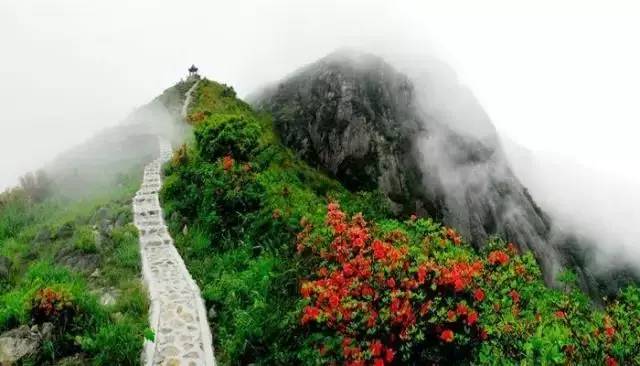 广西全域旅游区,广西全域旅游示范县区