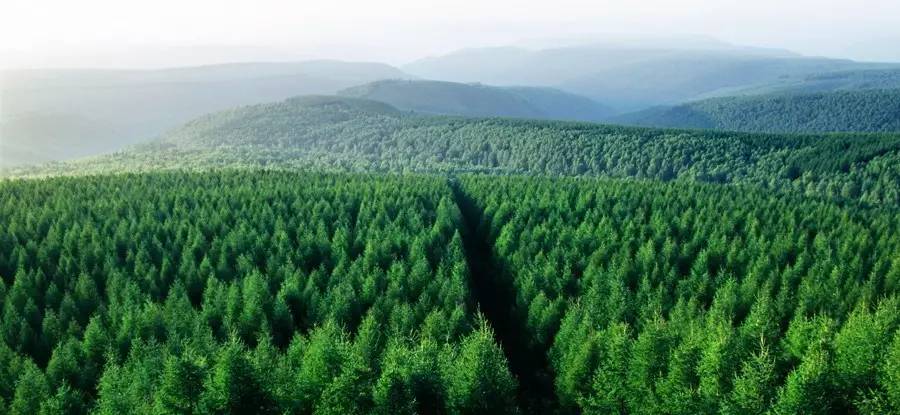 英国小哥到中国旅游,英国小哥来到中国旅游