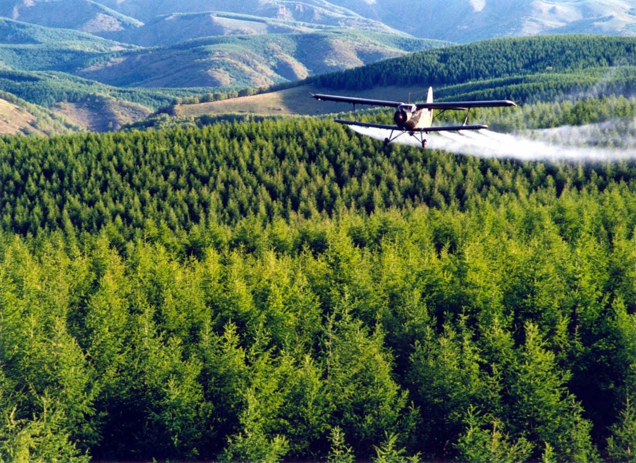 英国小哥到中国旅游,英国小哥来到中国旅游