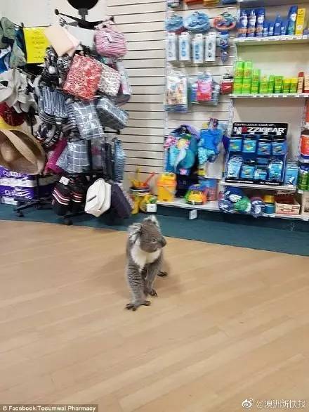 年轻小伙遭遇酒托骗局,年轻小伙遭遇酒托骗局视频