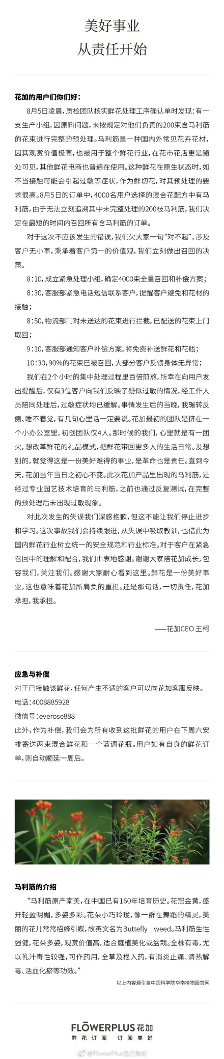 花加被爆向买家配送有毒鲜花,90%的花束已被召回