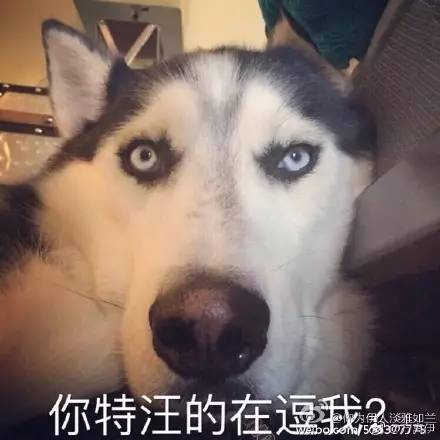 说好的异地恋正能量呢，为何最后一条如此扎心！