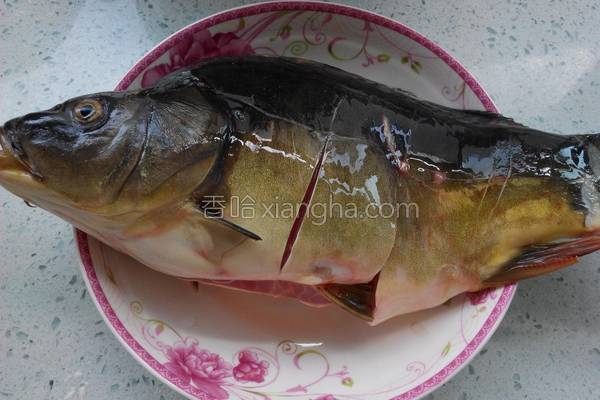 家常炖鲤鱼放醋吗,家常炖鲤鱼