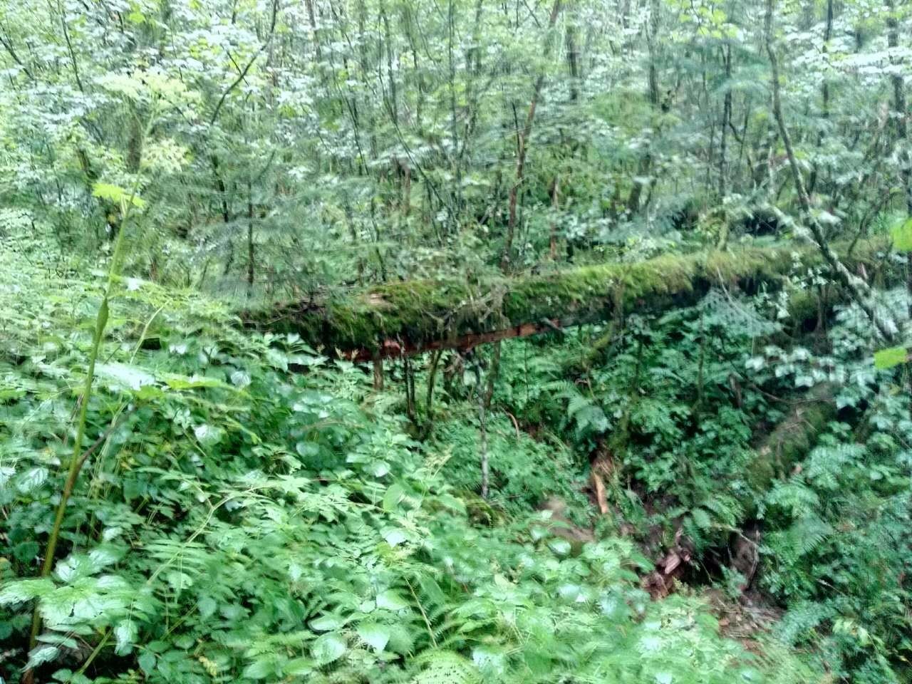 户外小白成长记,户外小白进阶课