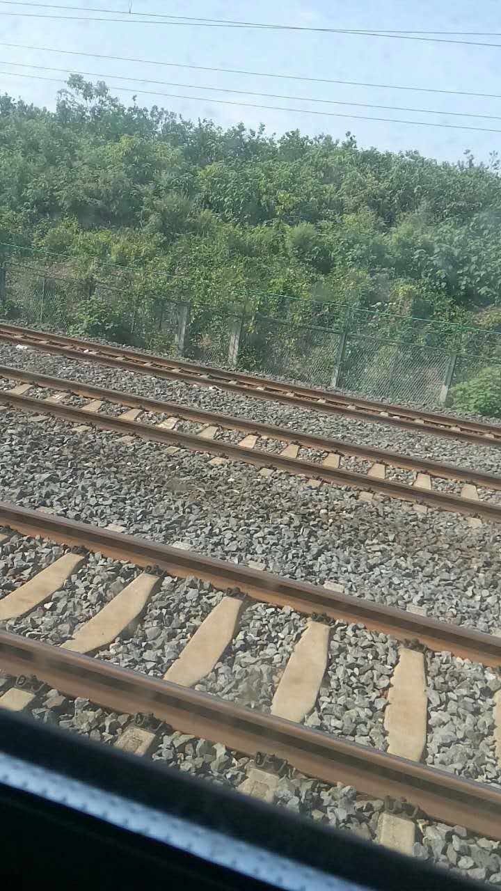 户外小白成长记,户外小白进阶课