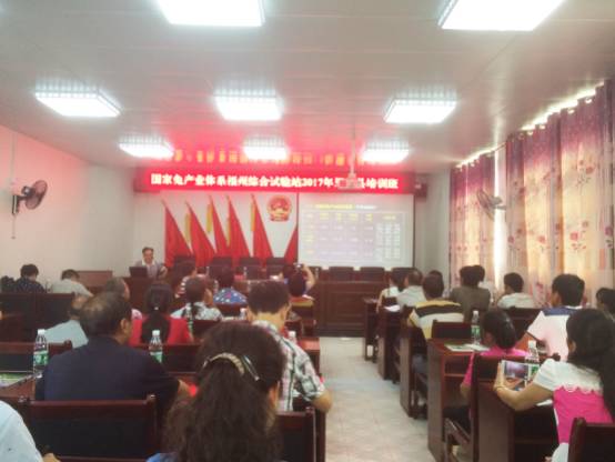 第五届海峡两岸青年文化交流节,团情速递免费阅读