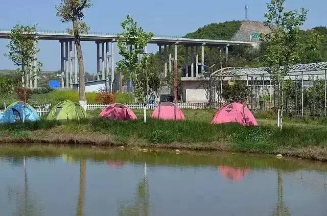 贵州不用带帐篷露营地推荐,贵州自搭帐篷露营地推荐