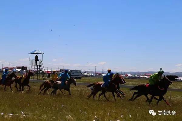 纵马扬鞭御风飞行丨九色甘南香巴拉·玛曲第十一届格萨尔赛马节隆重开幕