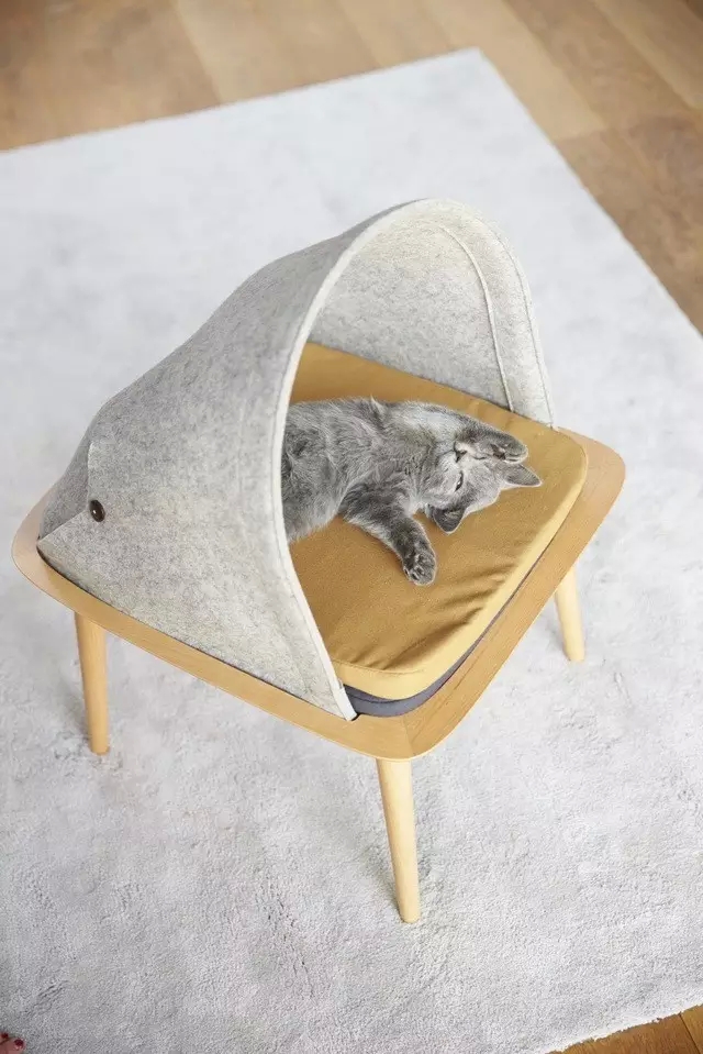 盘点那些实用的宠物生活用品,猫狗最实用的宠物用品