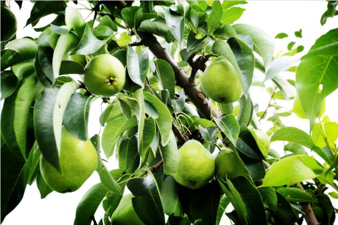 抓住暑假尾巴来一波,抓住暑假的尾巴来钓鱼