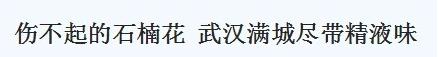 武汉确实是一座有魅力的城市,武汉这座巨大的城市