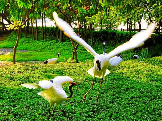 肇庆旅游高铁攻略路线推荐,肇庆旅游高铁攻略路线