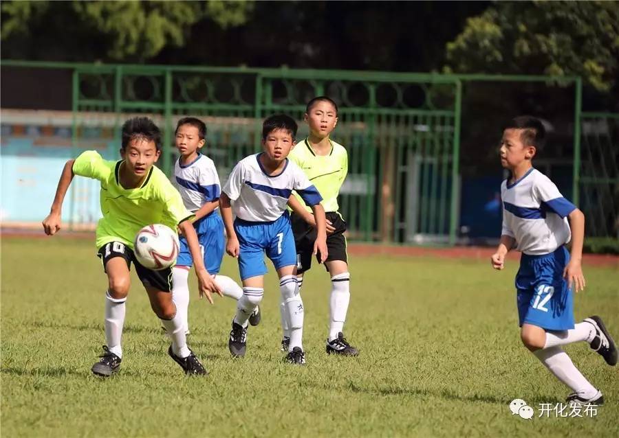 绿茵青少年足球邀请赛,衢州市青年足球比赛
