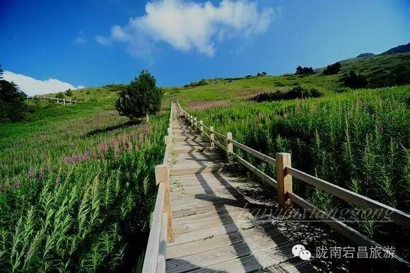 别说端午节不知道去哪儿，来宕昌遇见最美的风景