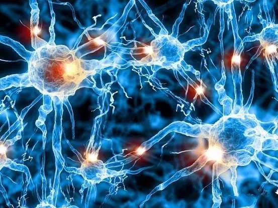 生酮多长时间后开始分解脂肪,生酮会促进脂肪分解吗