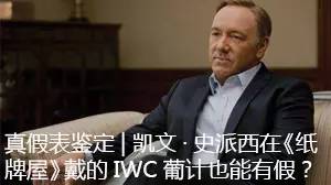 假信息套路骗子,假表骗局揭秘