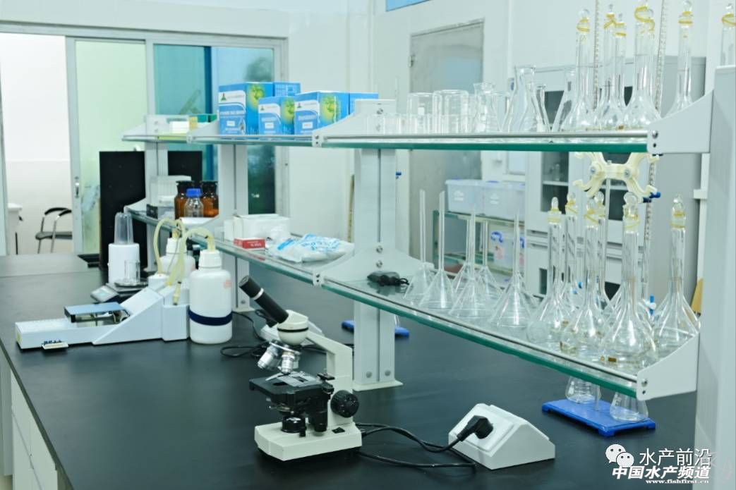 鳜鱼行业,低门槛的行业面临淘汰