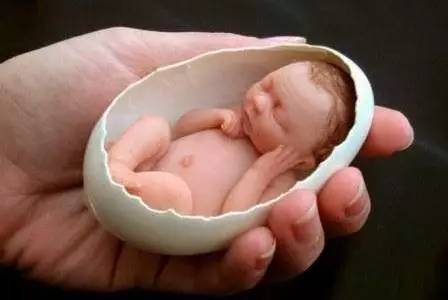 哈尔滨哪些免费的地方,今天哈尔滨哪里免门票