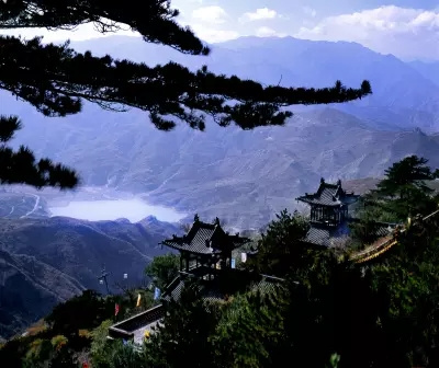 樂吧天下大同每周六发团