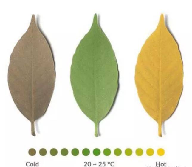 七夕送什么？不用动脑壳，照到这篇买就行了！