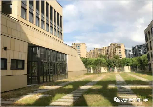 枣园学校新校区,枣园新校区