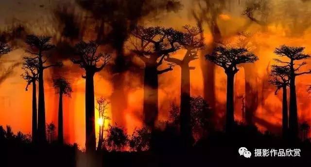 摄影师张艳画意摄影,摄影师人物摄影作品