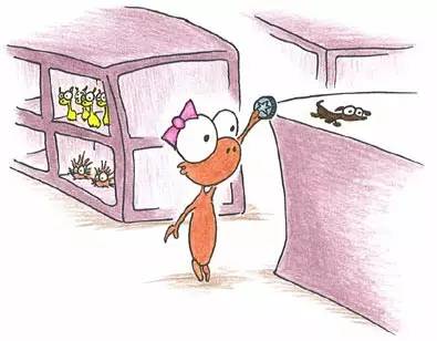 琪琪故事第一季第一集,琪琪的故事20集