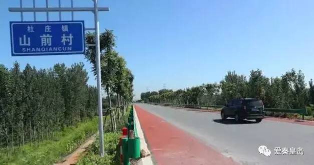 秦皇岛即将开的花海,秦皇岛最近的新花海