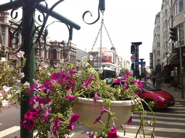 哈尔滨哪些免费的地方,今天哈尔滨哪里免门票