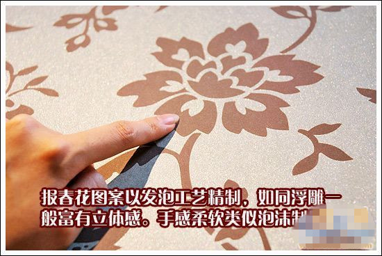 春花的灿烂与您分享柔然壁纸测评