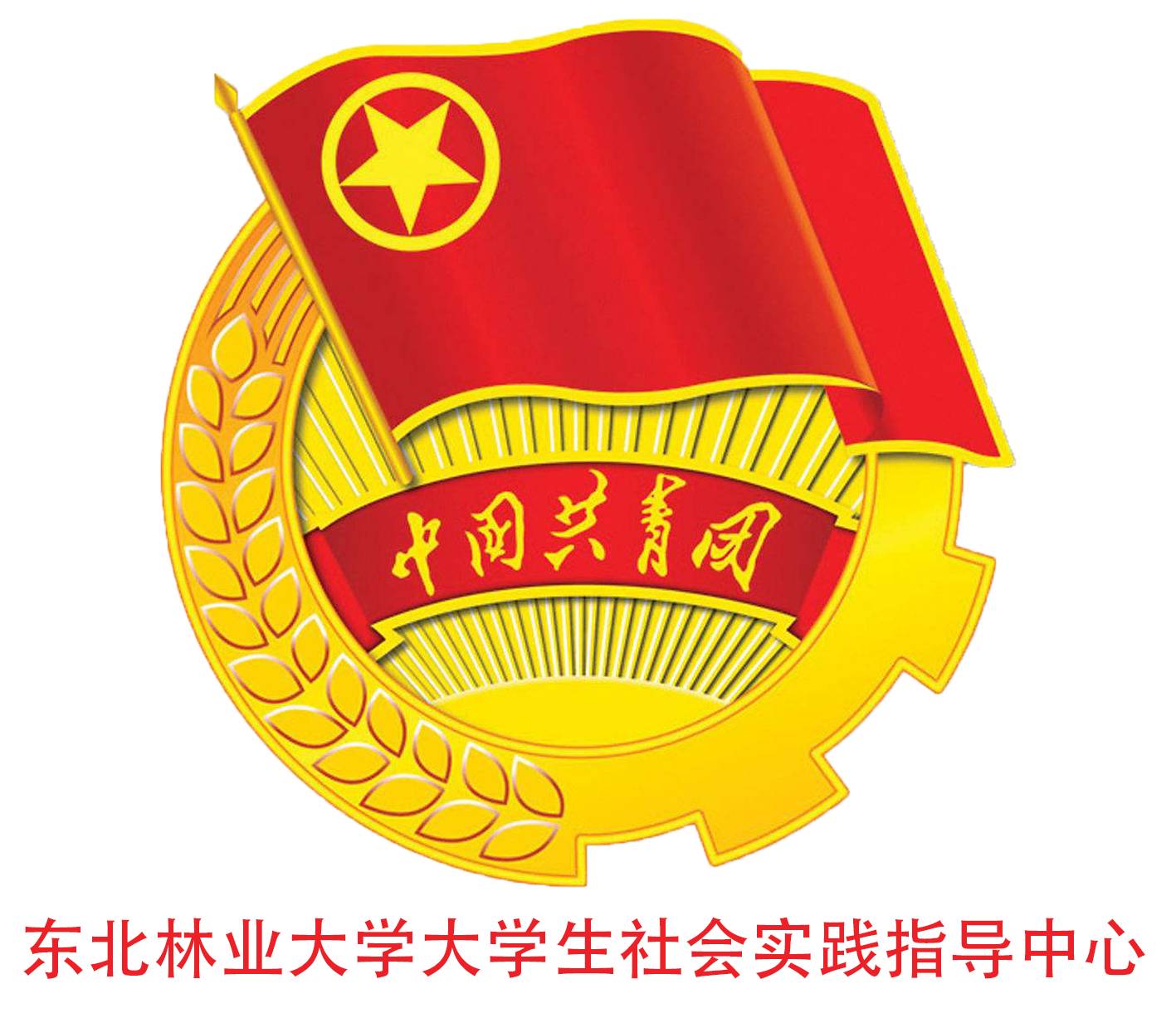 东北林业大学新生选拔,东北林业大学2021届新生报名安排