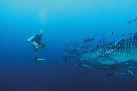 有意思｜跟好心情私奔，有些道理在岸上知不道