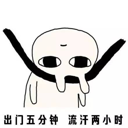 水果茶网红杯一次性,500g网红水果茶