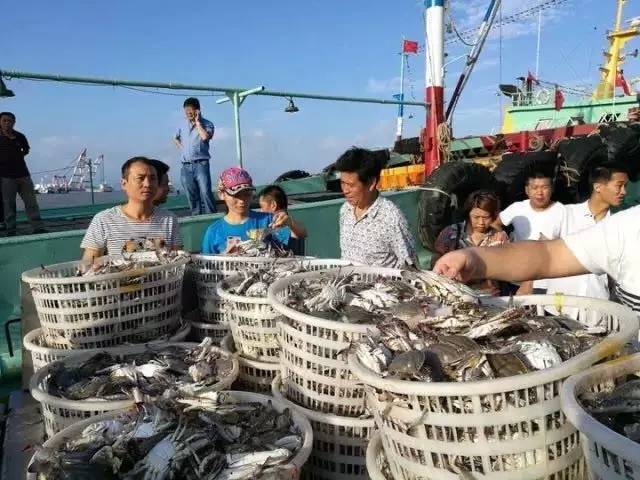 开海哪里的海鲜最便宜,威海开海适合买什么海鲜