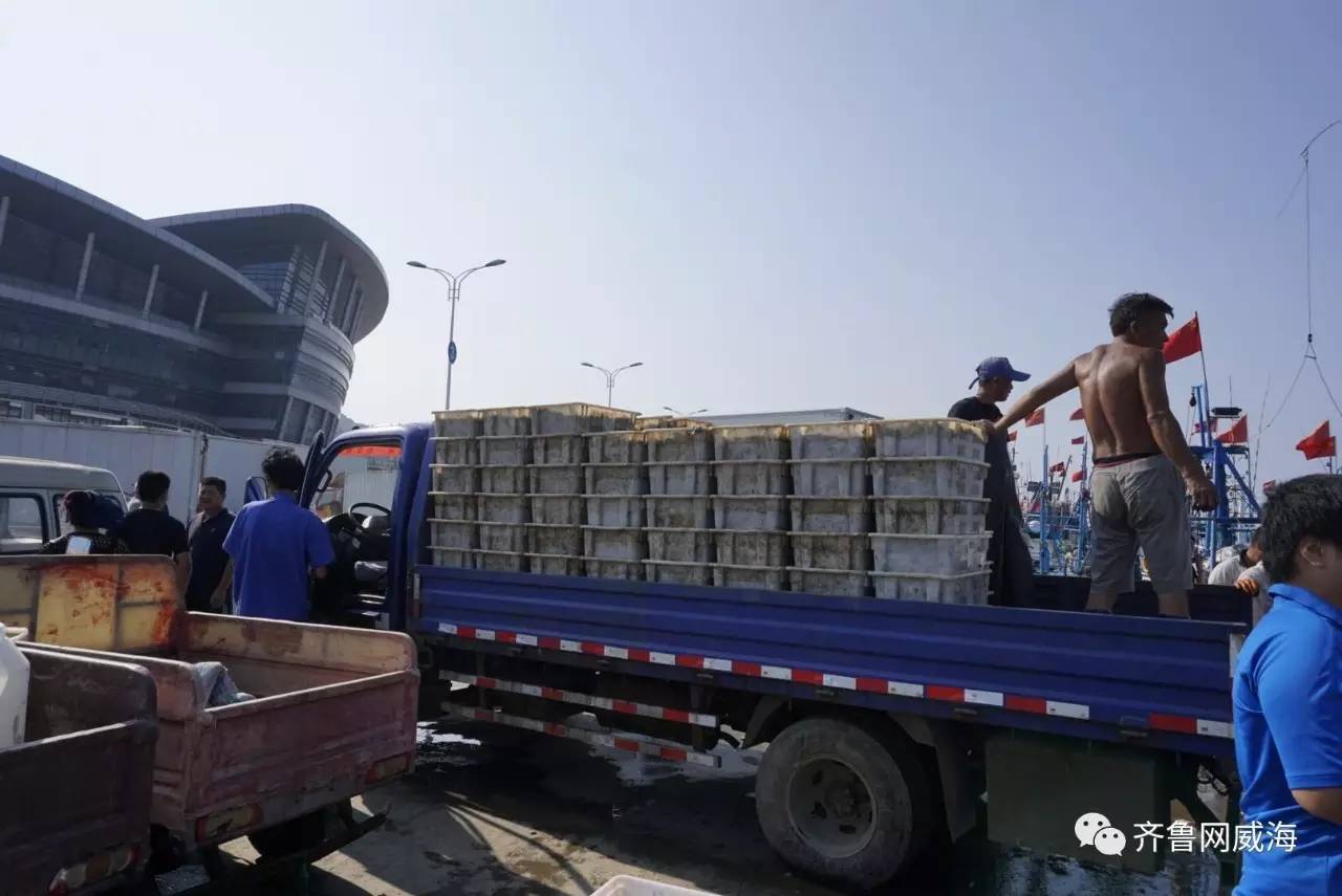 开海了一大波新鲜海鲜,威海开海了吃什么海鲜