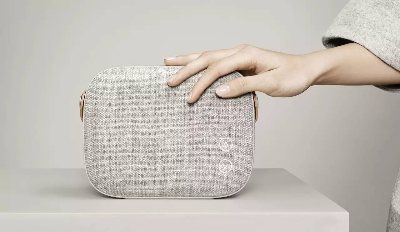 顶级丹麦汽车音响,顶级双扬声器音箱