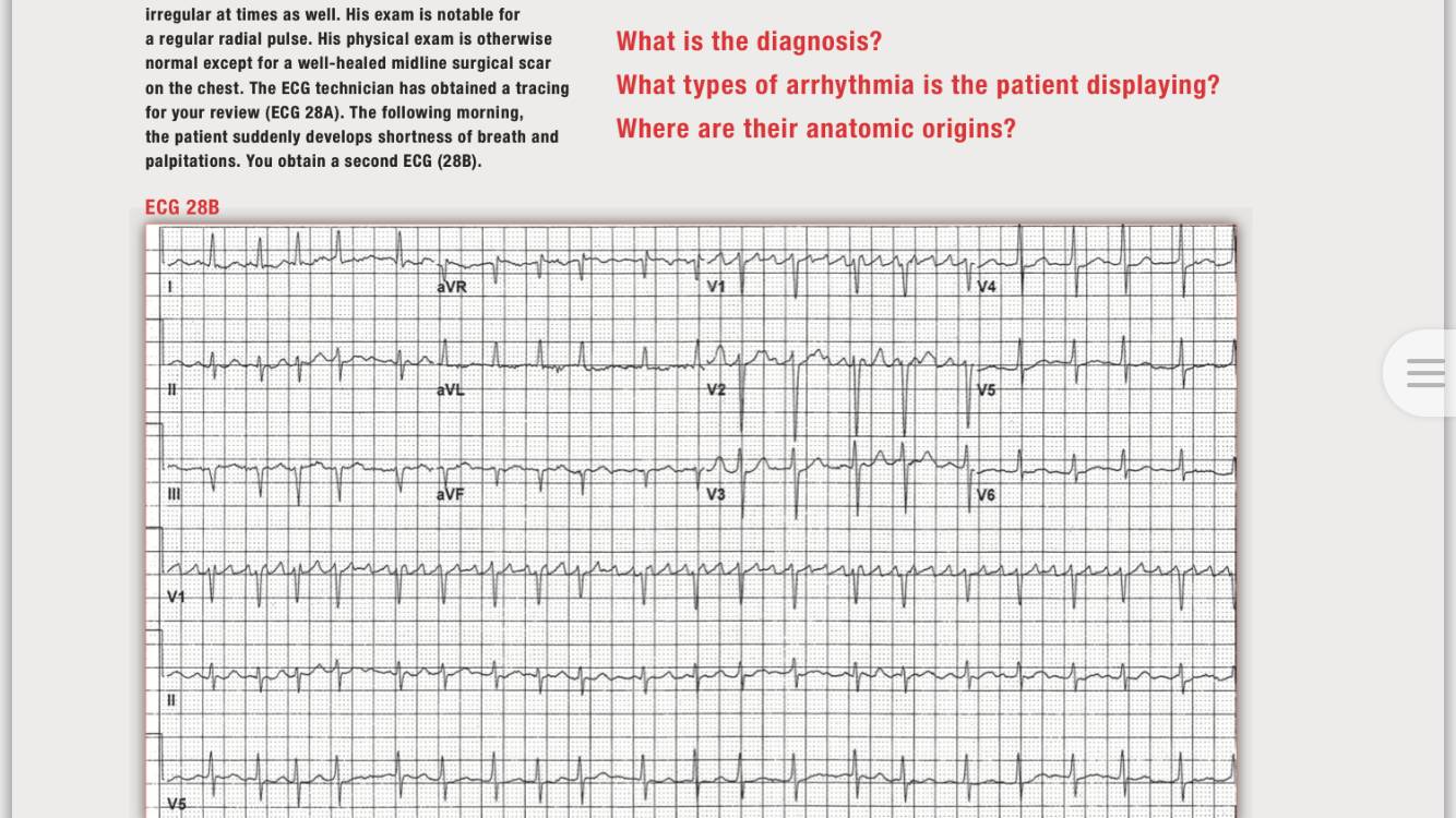 读心有术216,读心有术131期